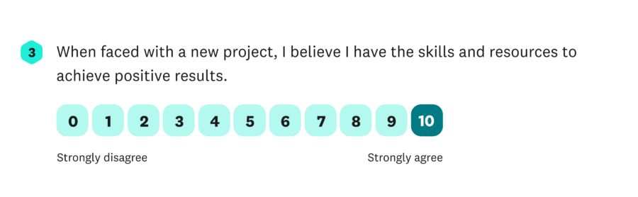 self efficacy question 3 When faced with a new project I believe I have the skills and resources to achieve positive results